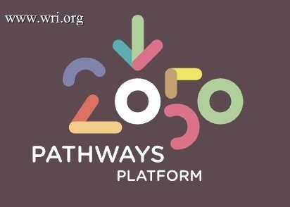 2050 Pathways Platform logo.