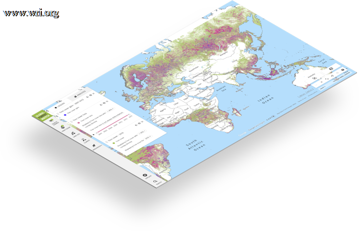 Discover the world’s forests through data