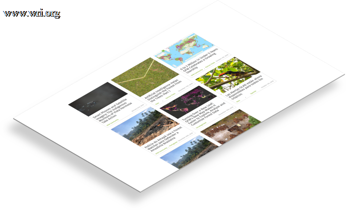 Read about the latest updates