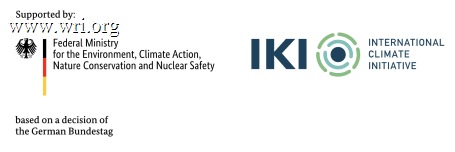 IKI logo.