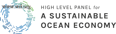 Ocean Panel logo.