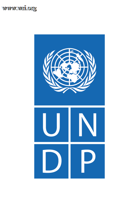 UNDP logo